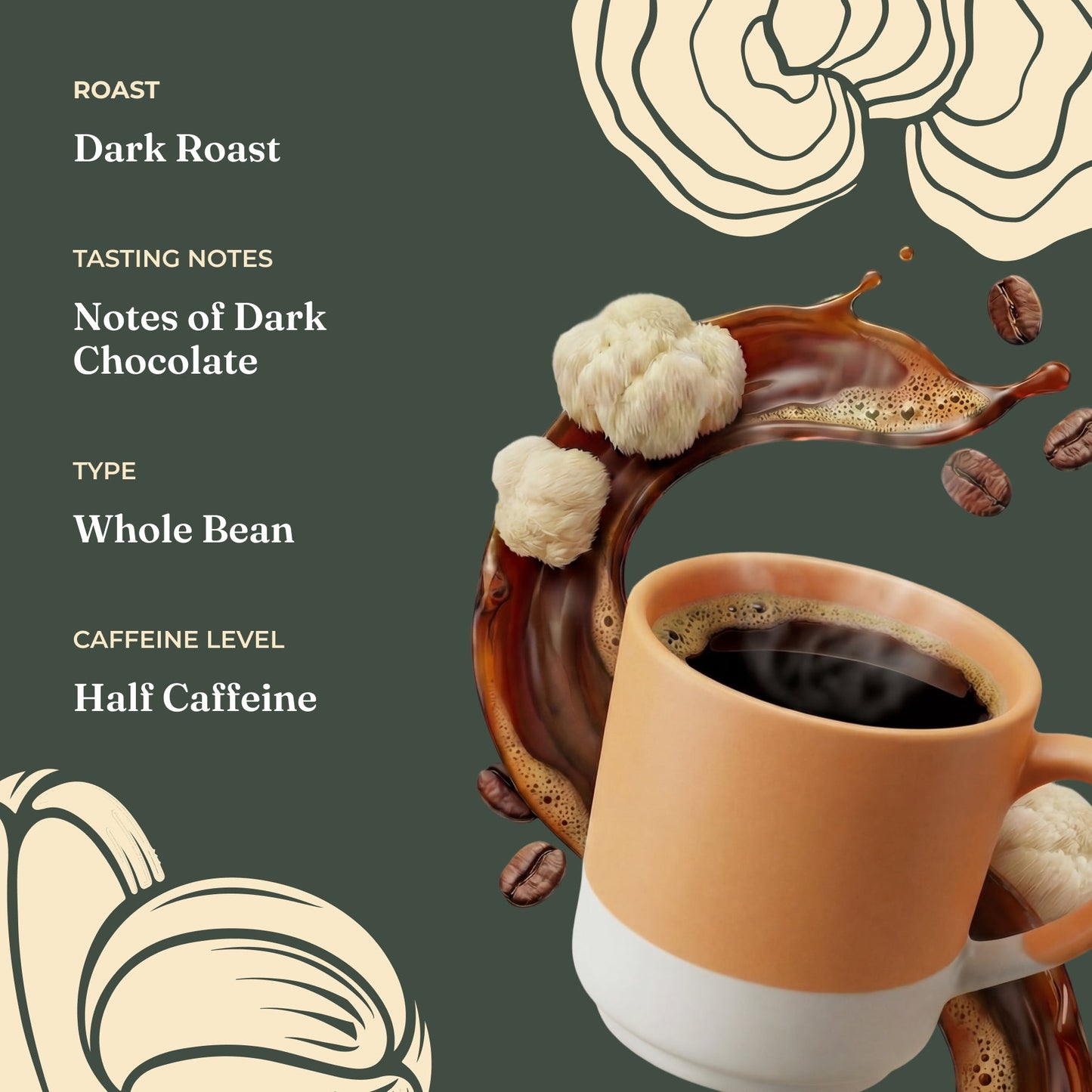 focus-half-caf-whole-bean-coffee-m0 Taste_-_Focus_Half_Caf_Whole_Bean_d1d02c35-db99-498e-ac43-813730db6953.jpg